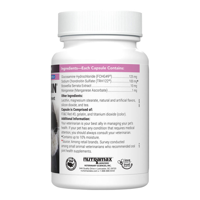 Cosequin Professional for Cats, 60 ct Capsules - Jeffers - Animal Health & Wellness > Joint Health