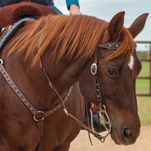 Classic Equine Copper Dot Browband Headstall -   