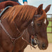 Classic Equine Copper Dot Browband Headstall -   