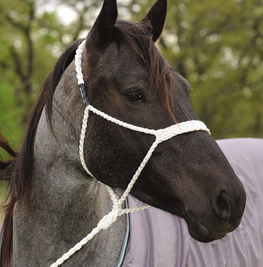 Mule Tape Halter, White -   