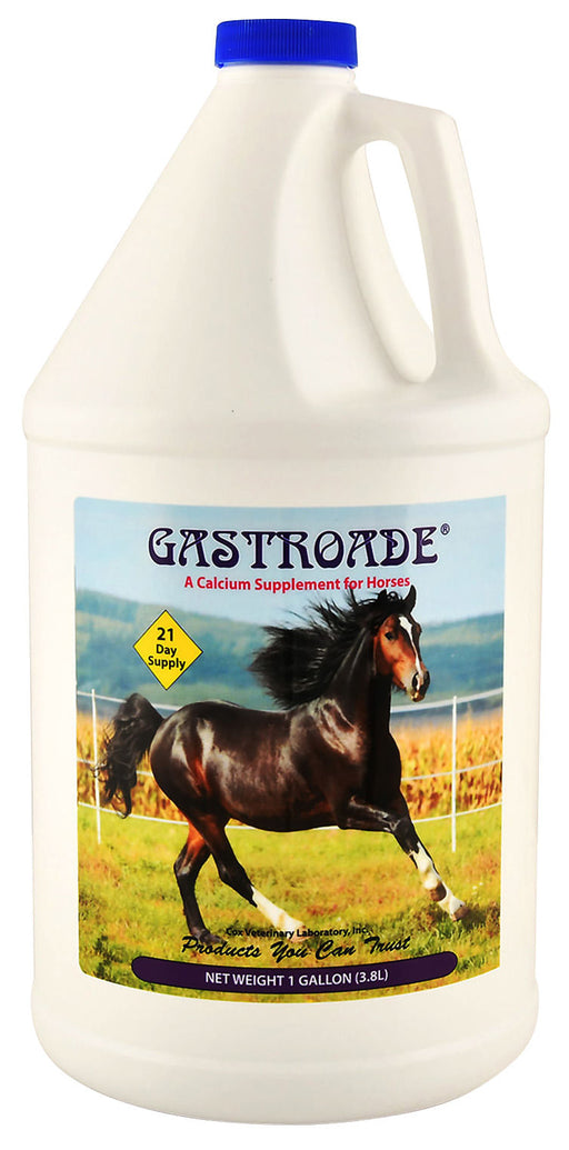 Gastroade Liquid GI Supplement for Horses -   