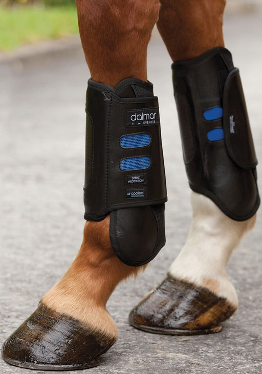 Dalmar Eventer Front Boots, Black - Jeffers - Horse Supplies > Horse Boots & Leg Wraps