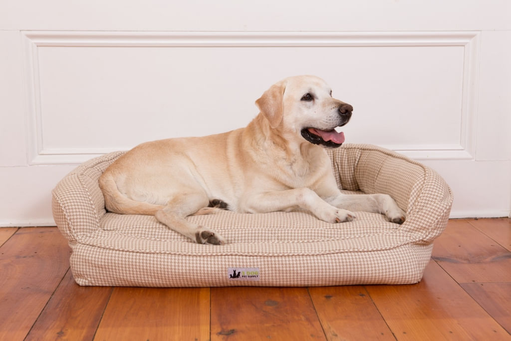 EZ-Wash Premium Headrest Memory Foam Dog Bed, Medium - Natural  