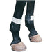 Defy the Fly Leg Bands (set of 4) - Jeffers - Horse Supplies > Horse Boots & Leg Wraps