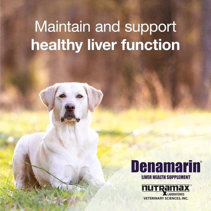 Denamarin Liver Health Chewable Tablets - Jeffers - Animal Health & Wellness > Vitamins & Supplements