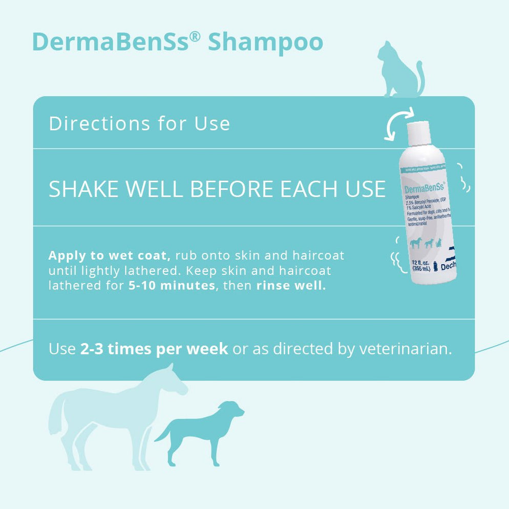 DermaBenSs Shampoo for Dogs, Cats, and Horses by Dechra — Jeffers