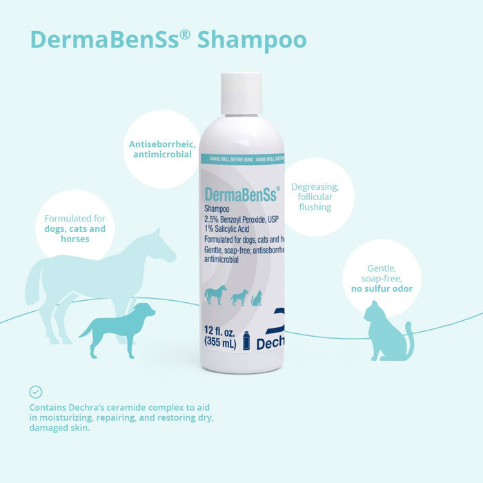 DermaBenSs Medicated Antimicrobial Shampoo for Dogs, Cats & Horses - 013DP-24012 - 1 Gallon - 5