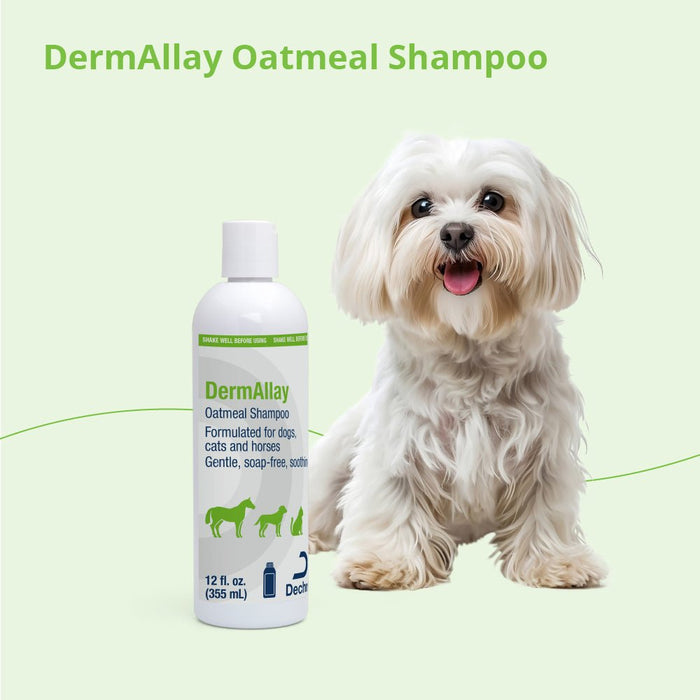 DermAllay Oatmeal Shampoo for Dogs, Cats & Horses - 013DP-0057 - 12 oz - 6