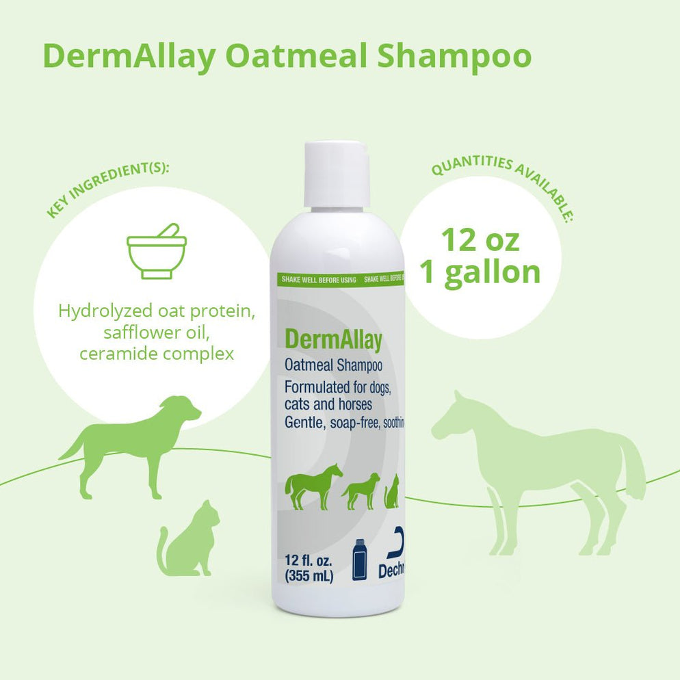 DermAllay Oatmeal Shampoo for Dogs, Cats and Horses — Jeffers