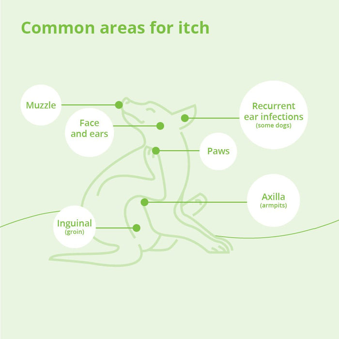 DermAllay Oatmeal Spray Conditioner – Anti - Itch, Leave - On Skin Relief for Dogs, Cats & Horses - 013DP-DERMALLAYCG - 12 oz - 5
