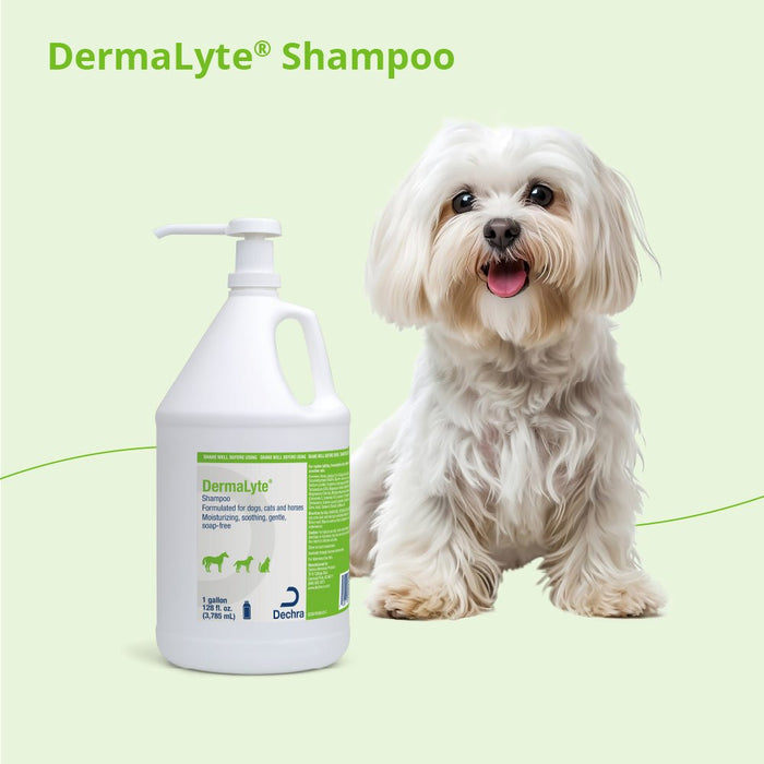 Dermalyte Shampoo for Dogs, Cats & Horses - 013DP-0025 - Gallon - 10