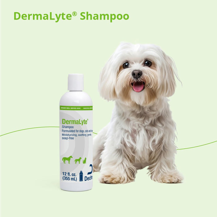 Dermalyte Shampoo for Dogs, Cats & Horses - 013DP-0056 - 12 oz - 4