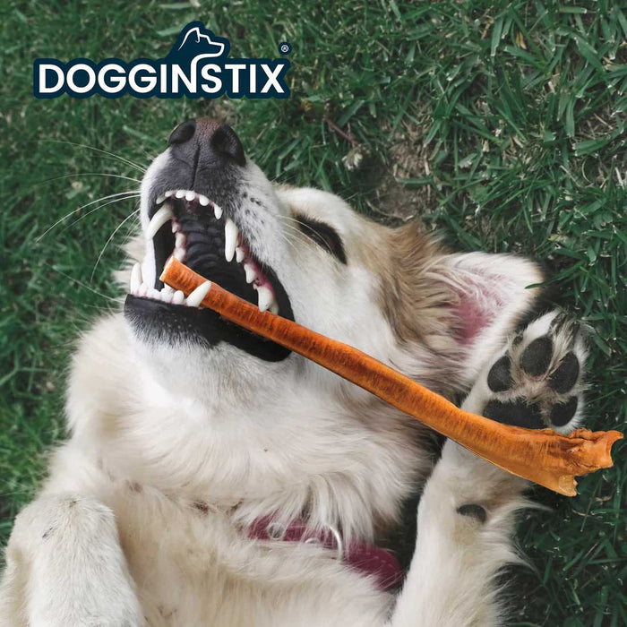 BULLY STICKS STANDARD Size 12 inch