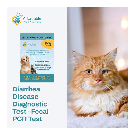 Diarrhea Disease Diagnostic Test - Fecal PCR Test For Cats, Easy Home Kit - AF21A - 1