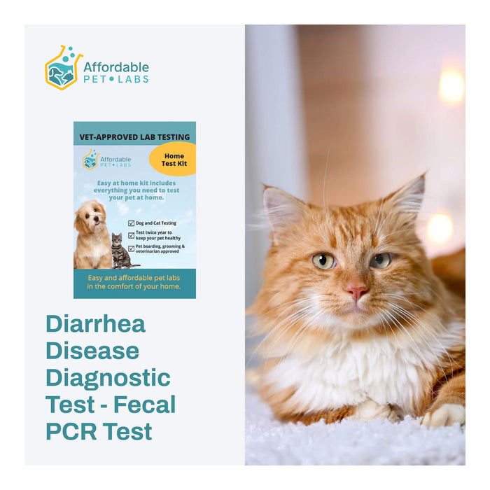 Diarrhea Disease Diagnostic Test - Fecal PCR Test For Cats, Easy Home Kit - AF21A - 1