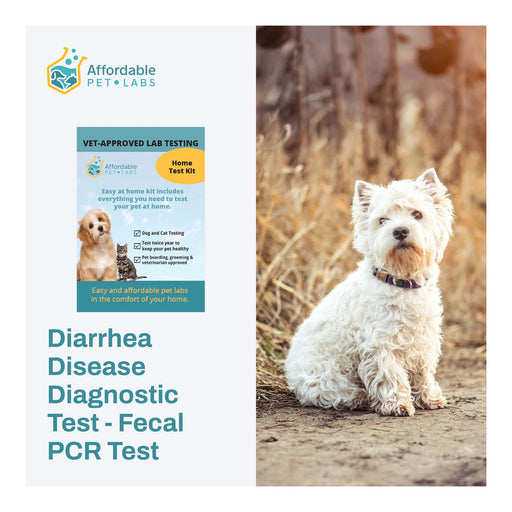 Diarrhea Disease Diagnostic Test - Fecal PCR Test For Dogs, Easy Home Kit - AF21B - 1