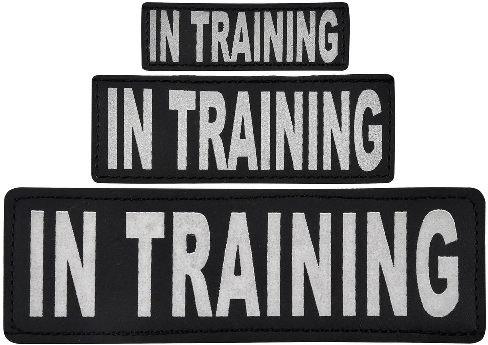 Reflective "In Training" Patches, Set of 2 - C  