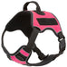 Quest Multi-Purpose Harness, XSmall - Pink  