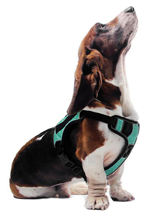 Quest Multi-Purpose Harness, XSmall - Teal  