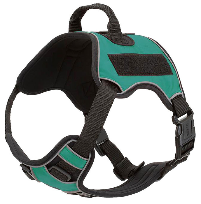 Quest Multi-Purpose Harness, Large - Teal  