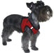 Boston Mesh Dog Harness - Red  