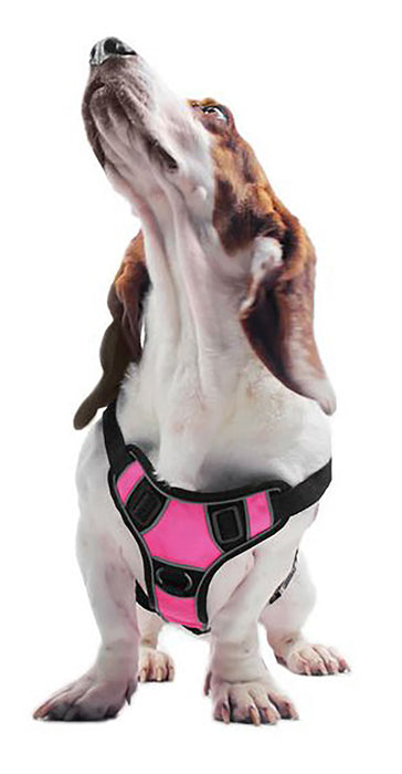 Quest Multi-Purpose Harness, XLarge - Pink  