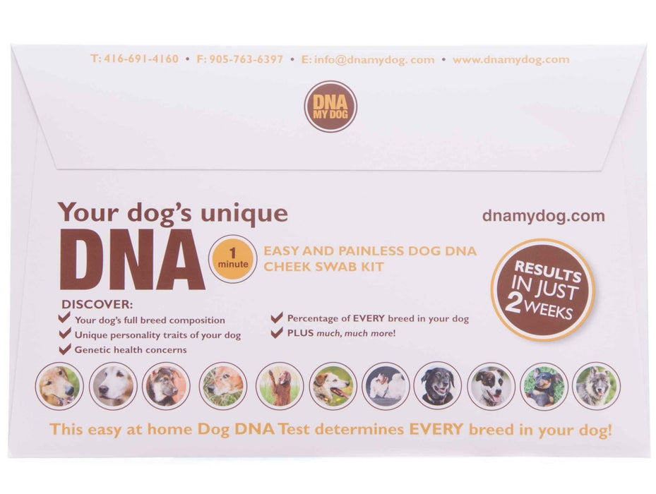 DNA My Dog, Dog DNA Test - Jeffers - Animal & Pet Supplies > Pet ID Tags