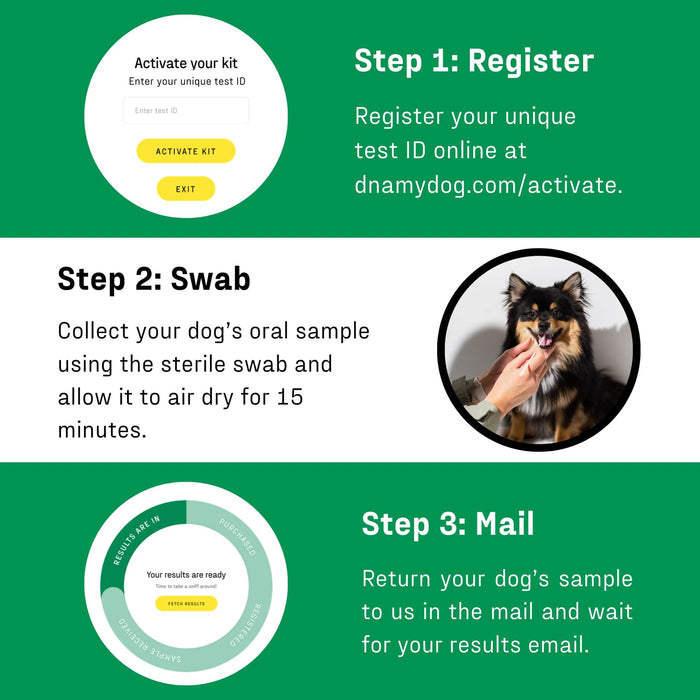 DNA My Dog - Essential Breed ID Test - DNAAC - 1 - 3