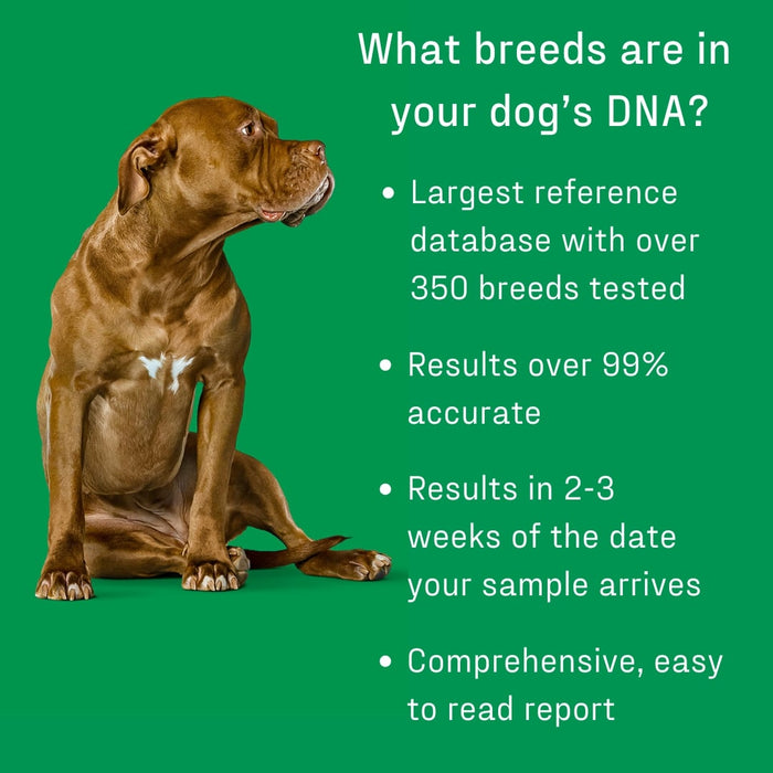DNA My Dog - Essential Breed ID Test - DNAAC - 1 - 4
