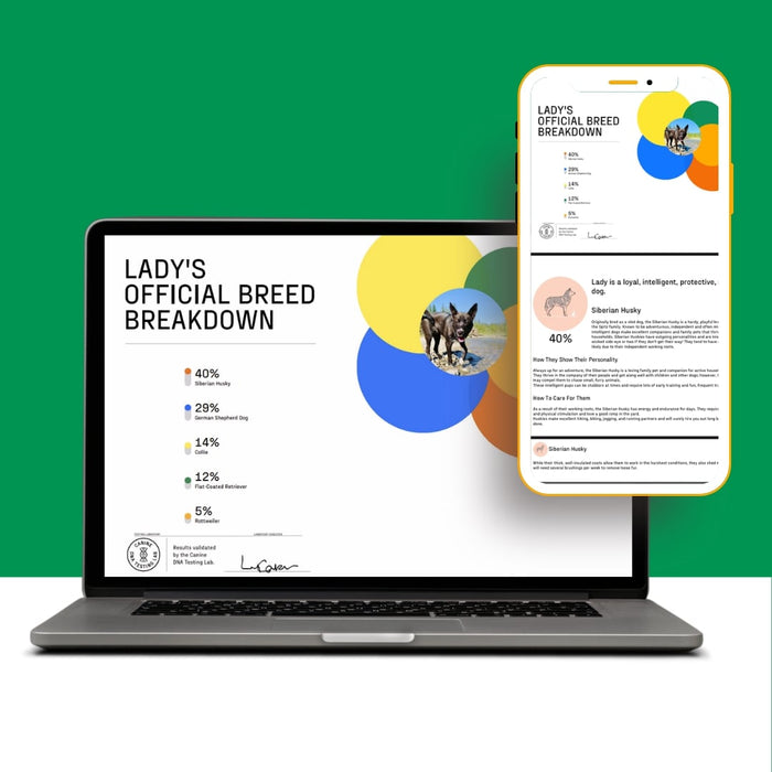DNA My Dog - Essential Breed ID Test - DNAAC - 1 - 5
