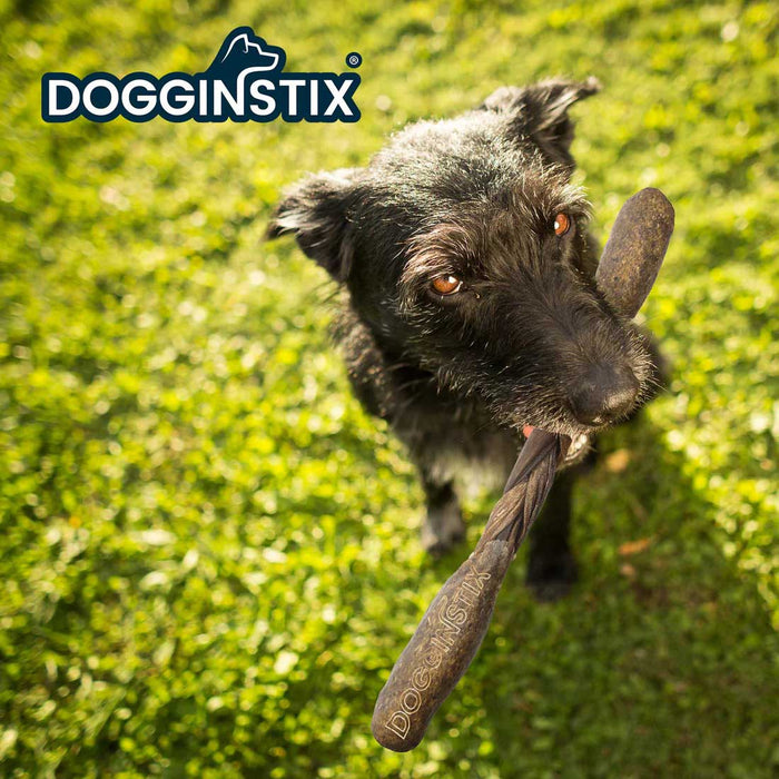 Dogginstix Braided Lamb Collagen Barbell Dog Chew – Natural, Grass - Fed, Low Fat Treat - DG2R - 12"L - Lamb - 1 ct - 4