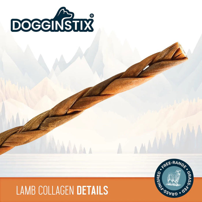 Dogginstix Braided Lamb Collagen Dog Chew – Long Lasting, Digestible, High Protein Rawhide Alternative - DG2K - 6"L - Lamb - 1 ct - 2