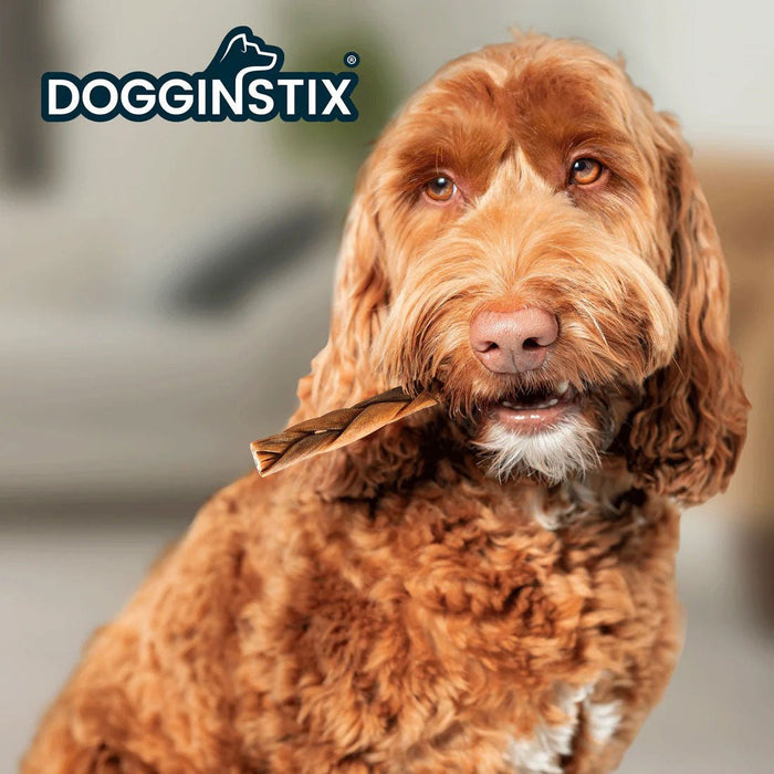 Dogginstix Braided Lamb Collagen Dog Chew – Long Lasting, Digestible, High Protein Rawhide Alternative - DG2K - 6"L - Lamb - 1 ct - 4