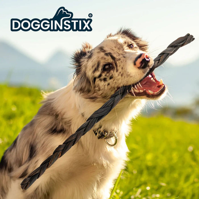 Dogginstix Braided Lamb Collagen Dog Chew – Long Lasting, Digestible, High Protein Rawhide Alternative - DG2M - 24"L - Lamb - 1 ct - 14