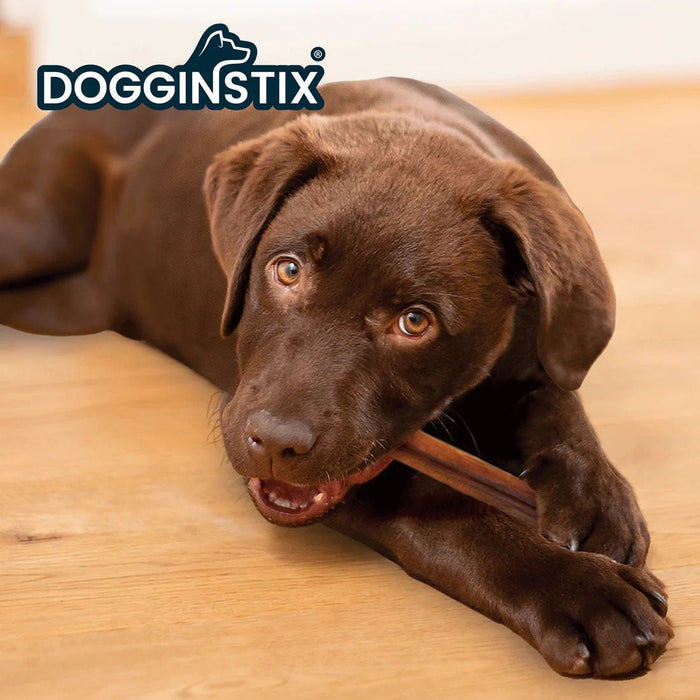 Dogginstix Bully Stick Dog Chew, All - Natural, Grass - Fed Beef, Odor - Free - DG2E - 12"L - Standard - 16