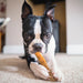 Dogginstix Bully Stick Dog Chew, All - Natural, Grass - Fed Beef, Odor - Free - DG2G - 12"L - Monster - 24