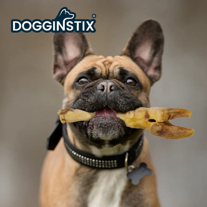 Dogginstix Lamb Foot Chew Dog Treat – Four Treats in One, Ideal for Small to Medium Dogs - DG2T - 6"L - Lamb - 1 ct - 3