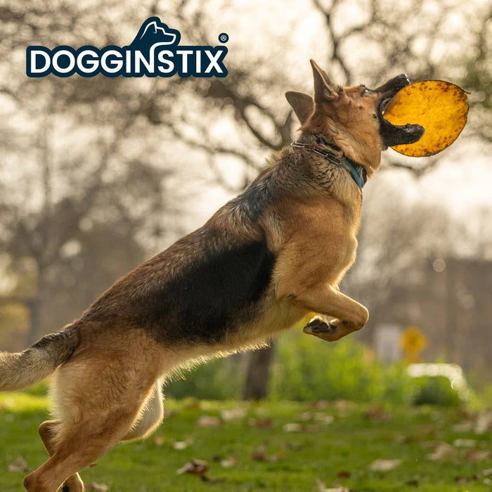 Dogginstix Natural Beef Collagen UFO Dog Chew & Toy – Long Lasting, Digestible, High Protein - DG2Y - 9.75"D - Beef - 1 ct - 3