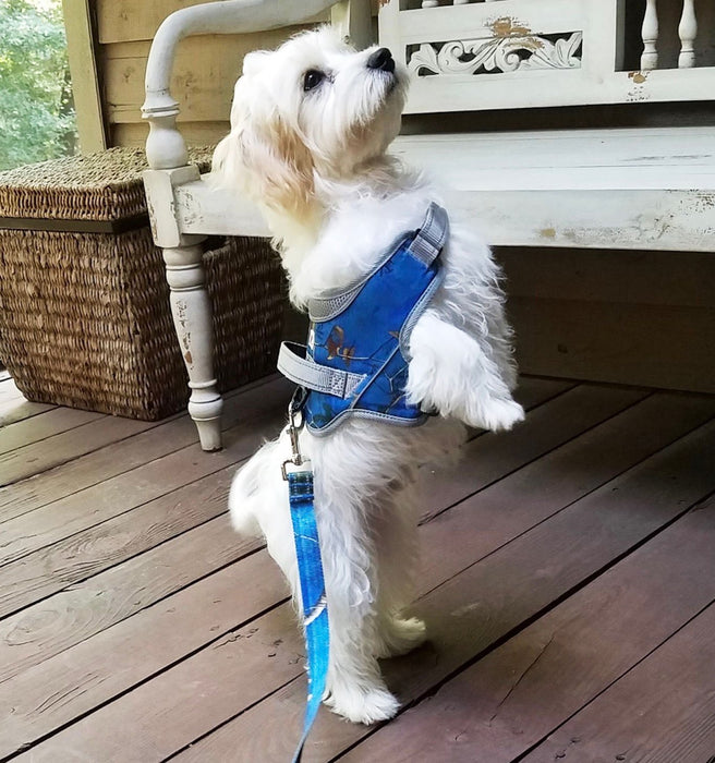 Doggy Tales Patented Realtree Hart Harness, Surf Blue - Jeffers - Dog Supplies > Dog Apparel > Dog Collars, Harnesses, & Leashes