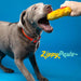 Donutz, Americana - Jeffers - Dog Supplies > Dog Toys