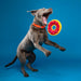 Donutz, Americana - Jeffers - Dog Supplies > Dog Toys