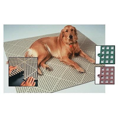 Dri-Dek Tiles for Dog Kennels and Crates — Jeffers