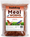 Dried Mealworms for Wild Birds, Chickens, Fish, & Reptiles - NC23 - 2 lbs - 9
