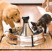Drinkwell 360 Stainless Pet Fountain (& Replacement Filters) - Jeffers - Animal & Pet Supplies > Pet Bowls, Feeders & Waterers