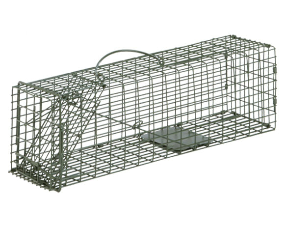 Duke Cage Traps Humane Live Animal  Catch Cage - Duke Standard Cage Trap  