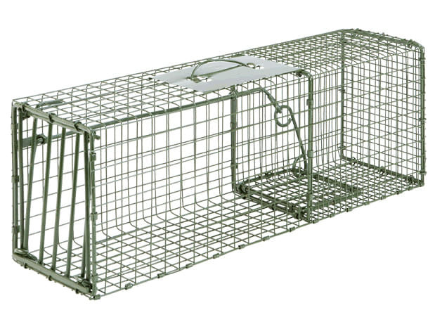 Duke Cage Traps Humane Live Animal  Catch Cage - Heavy Duty Cage Trap, Medium  