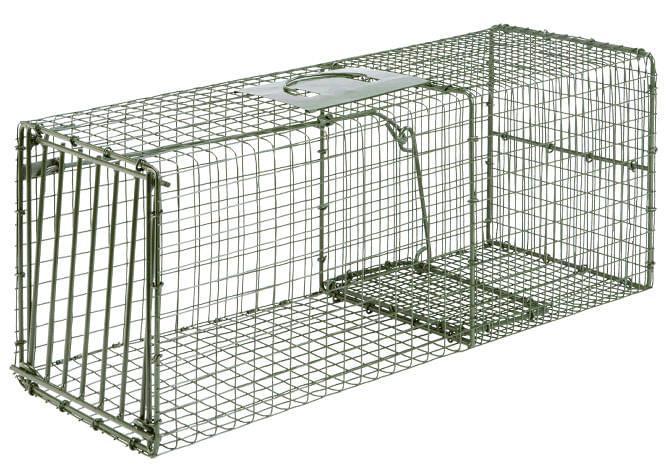 Duke Cage Traps Humane Live Animal  Catch Cage - Heavy Duty Cage Trap, Large  