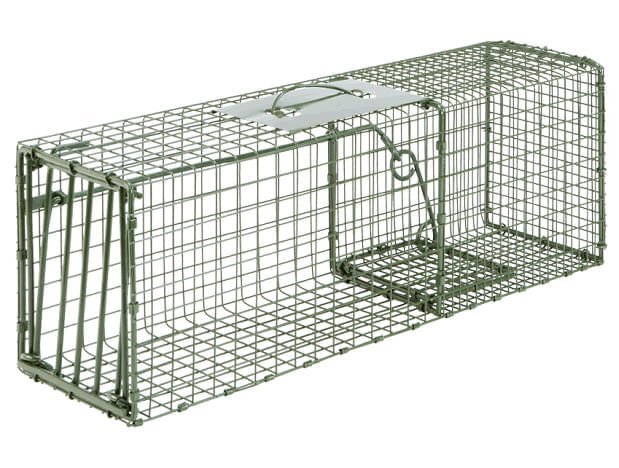 Duke Heavy Duty Cage Animal Traps for Live Animal Capture — Jeffers