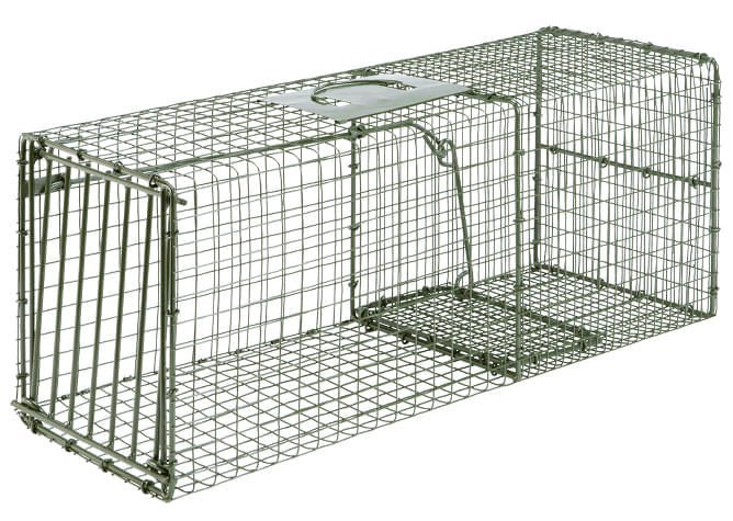 Duke Heavy - Duty Live Animal Cage Trap – Humane Steel Catch & Release Trap - DUAC - Heavy Duty - Large - 2