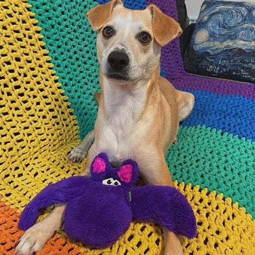 Duraplush Purple Bat Dog Toy, Medium - CD2D - Medium - 1 ct - 2